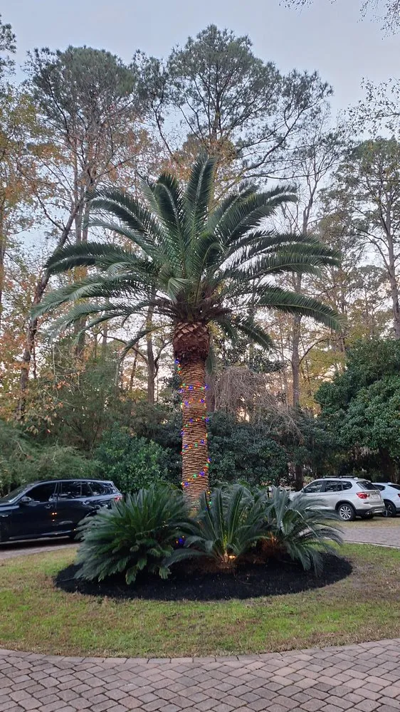 Affordable landscape installation experts serving Bluffton, SC - Jairo's Landscaping Services