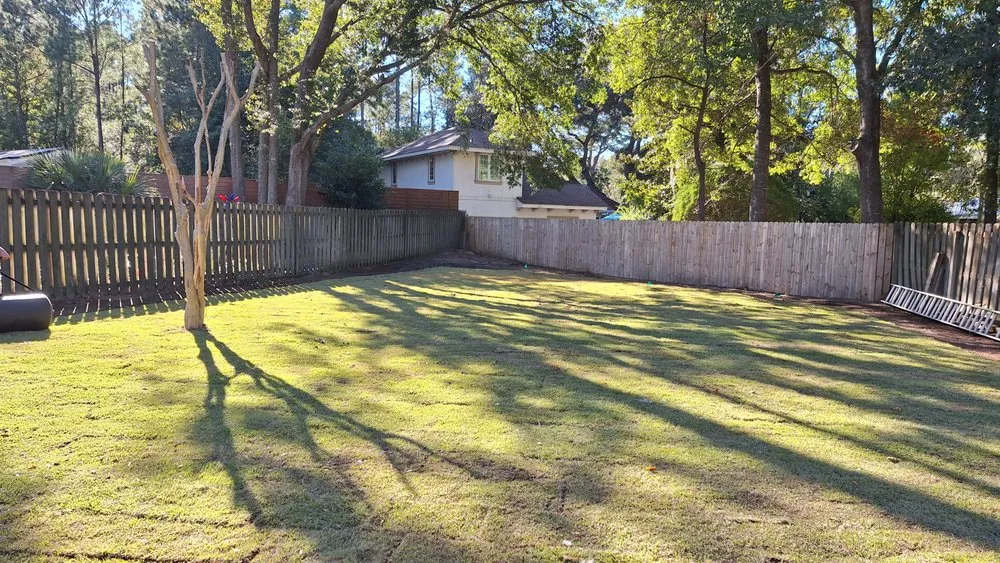 Affordable yard maintenance in Bluffton, SC by Jairo's Landscaping Services