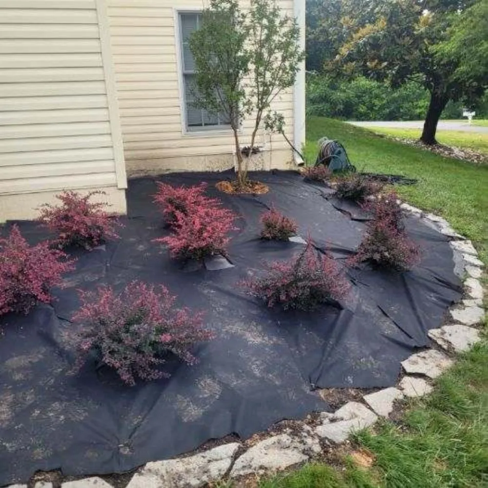 Local yard cleanup service for residential properties in Fredericksburg, VA by Jai's Dancescaping