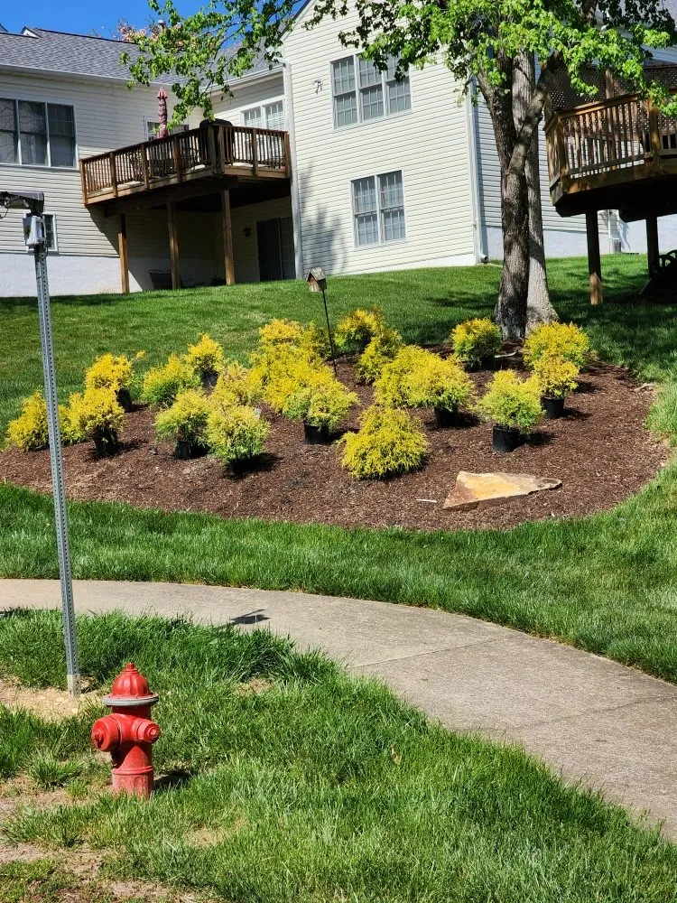 Affordable yard cleanup service for year-round maintenance in Fredericksburg, VA by Jai's Dancescaping