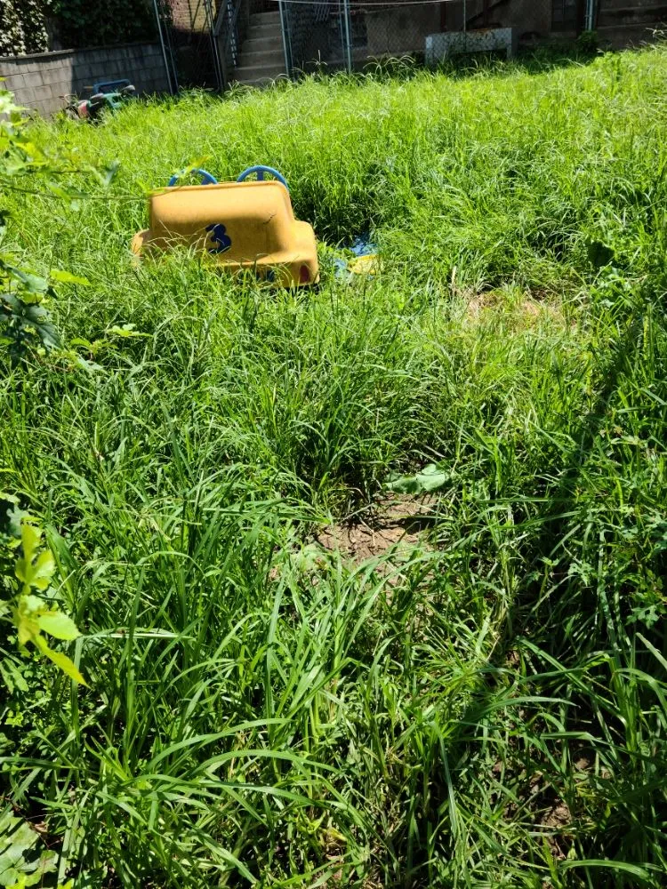 Professional garden landscaping with custom design across Fredericksburg, VA - Jai's Dancescaping