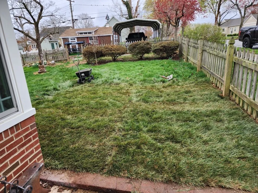 Affordable yard cleanup service for beautiful yards across Fredericksburg, VA - Jai's Dancescaping