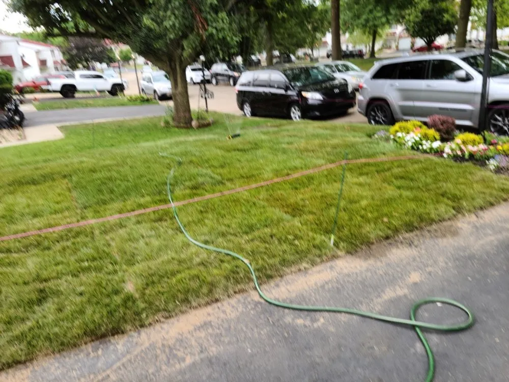Reliable lawn care service for outdoor upgrades in Fredericksburg, VA by Jai's Dancescaping