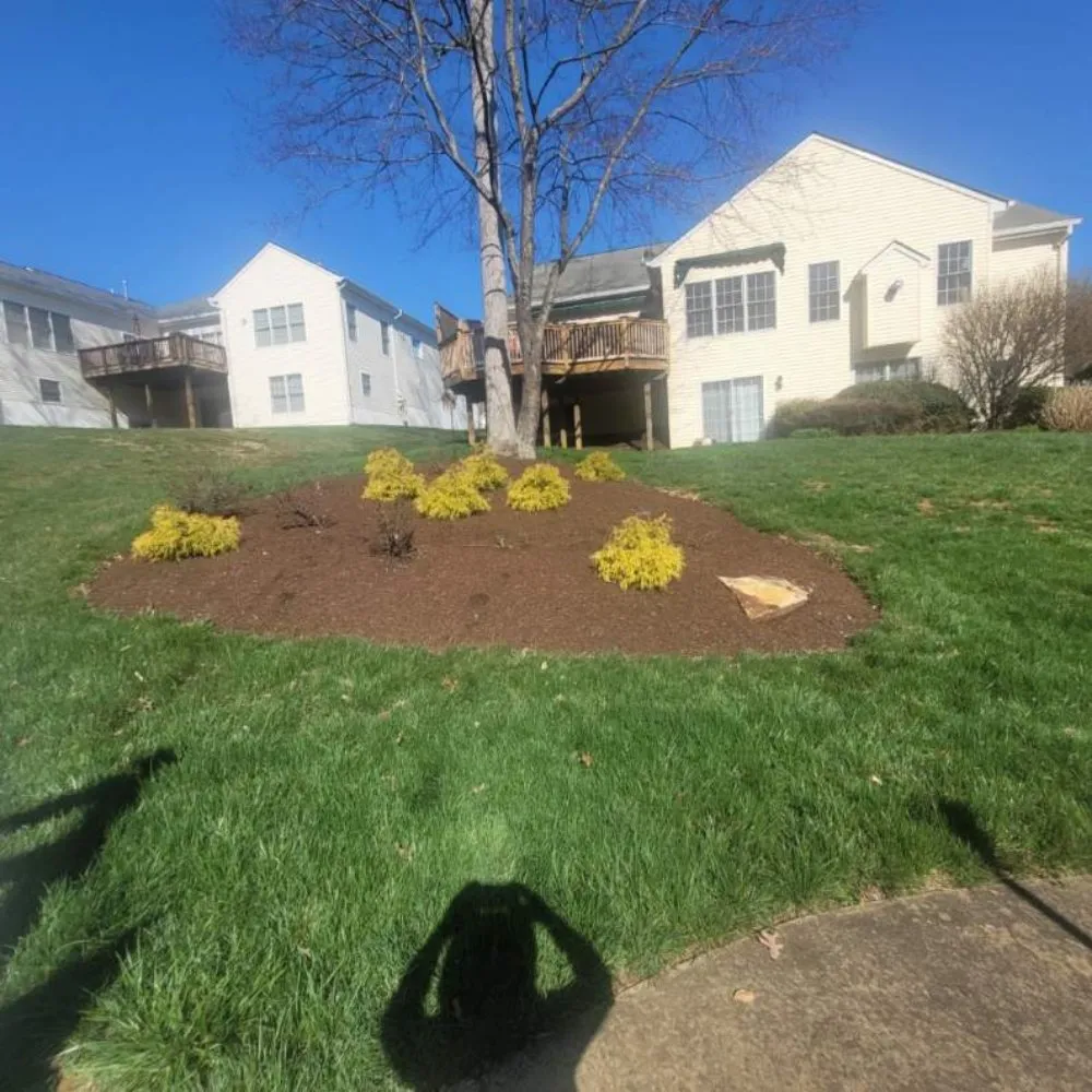 Reliable yard maintenance in Fredericksburg, VA - Jai's Dancescaping