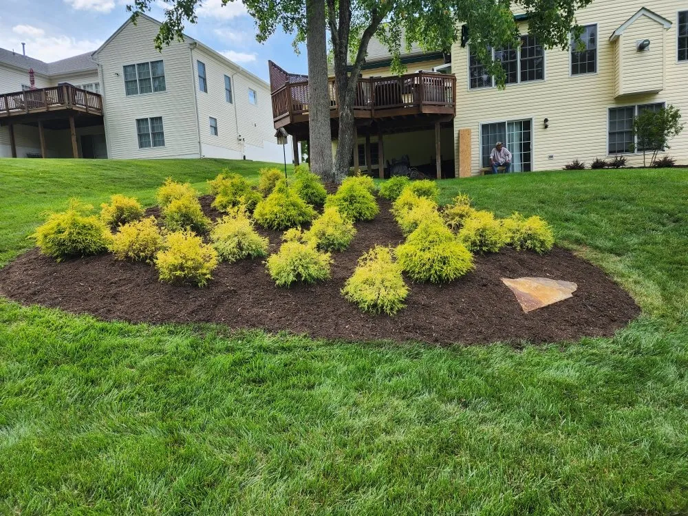 Professional yard cleanup service with custom design across Fredericksburg, VA - Jai's Dancescaping