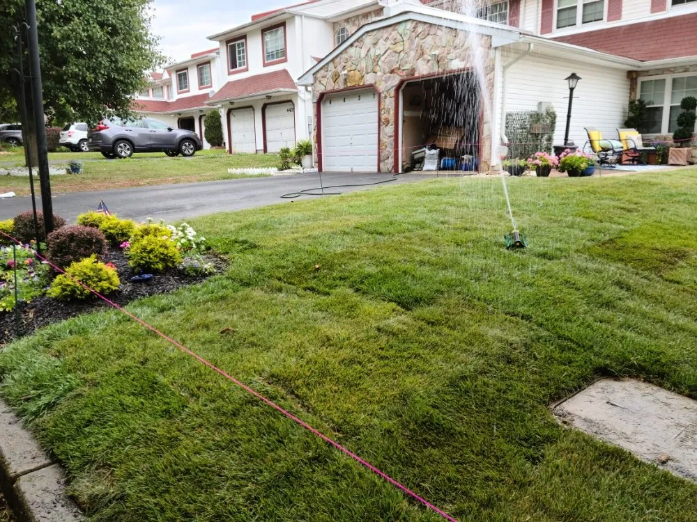 Reliable yard maintenance in Fredericksburg, VA - Jai's Dancescaping