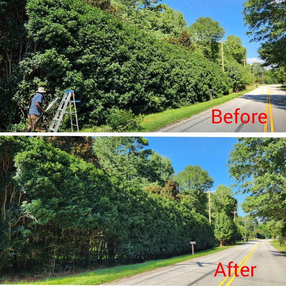 Affordable landscape installation for residential properties in Woodruff, SC by Jak of All Services