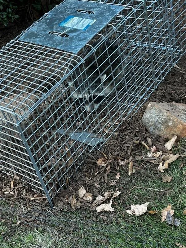 Reliable landscaping services for outdoor upgrades across Woodruff, SC - Jak of All Services