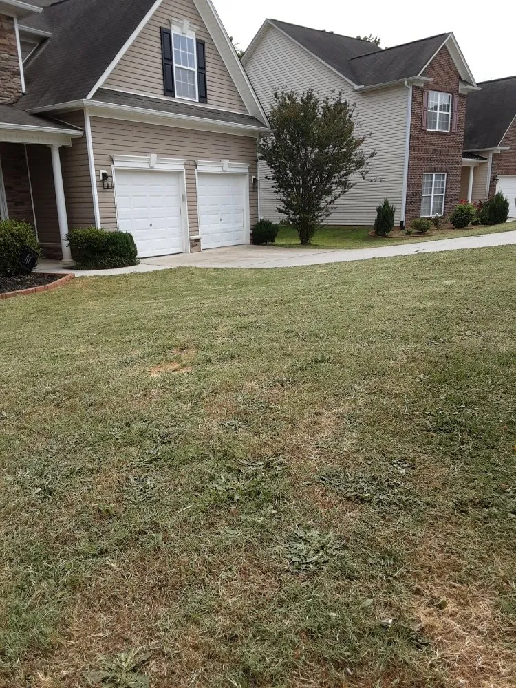 Trusted landscape installation in Woodruff, SC by Jak of All Services