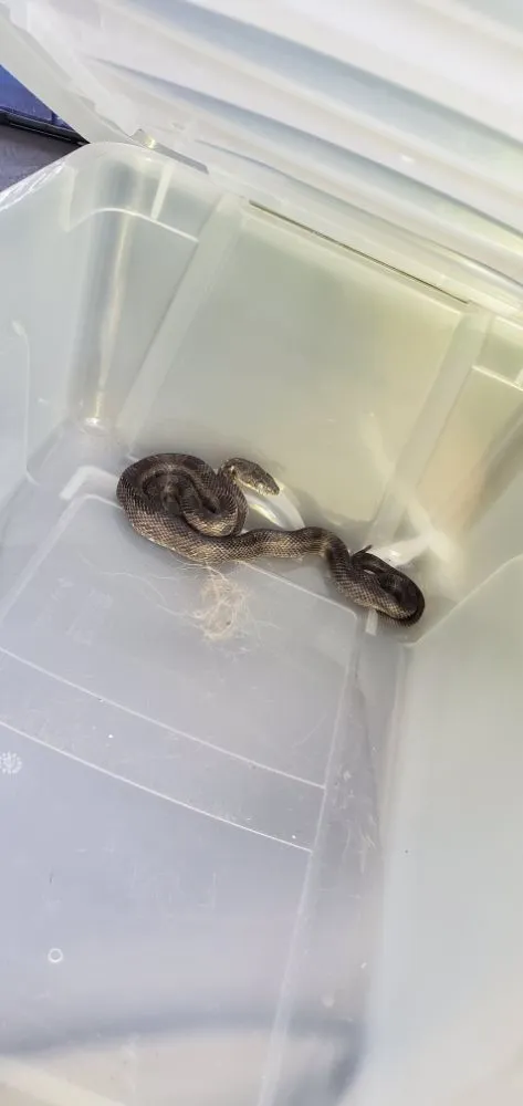 Affordable landscape design near you across Woodruff, SC - Jak of All Services