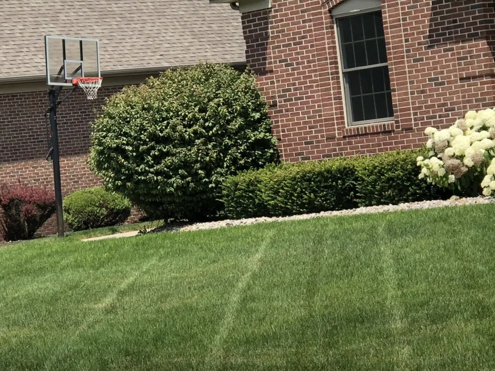 Expert lawn care service in Elkhart, IN by Jak Of All Trades