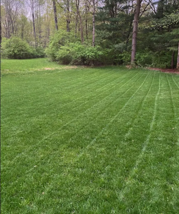 Affordable yard cleanup service in Elkhart, IN by Jak Of All Trades