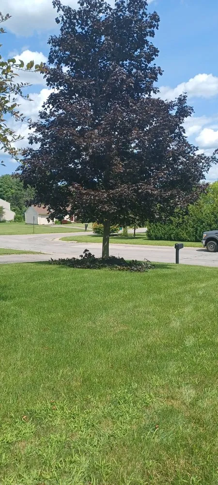 Professional lawn mowing service in Irondequoit, NY - JAK Services