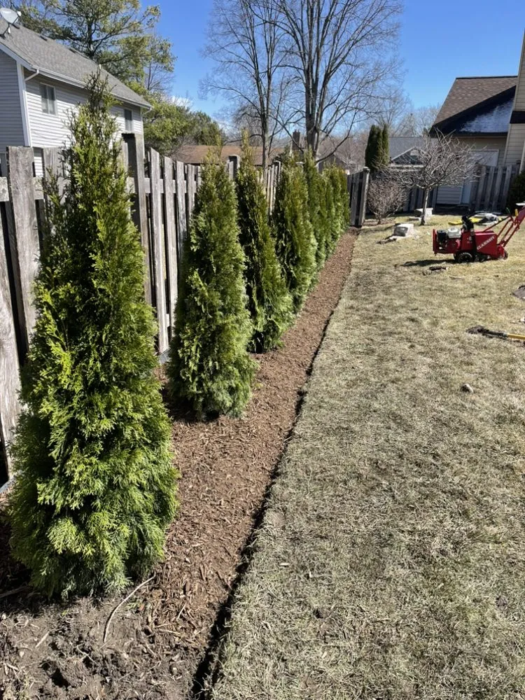 Expert yard cleanup service in Lake Zurich, IL - Jak Services