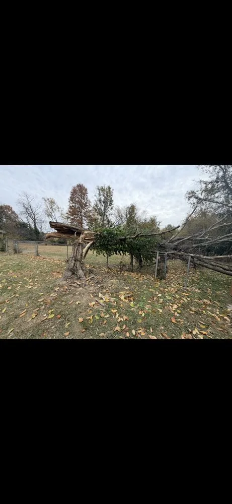 Top-rated lawn mowing service in Mount Vernon, IL by JAKD Lawn Care