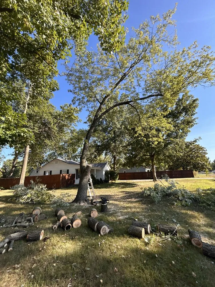 Local lawn care service in Mount Vernon, IL by JAKD Lawn Care