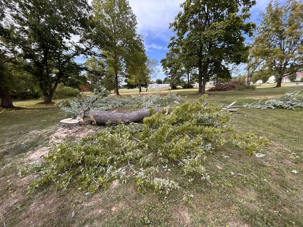 Professional residential landscaping in Mount Vernon, IL by JAKD Lawn Care