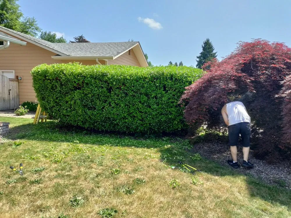 Trusted lawn care service with custom design across Springfield, OR - Jake & Brothers Landscape Maintenance