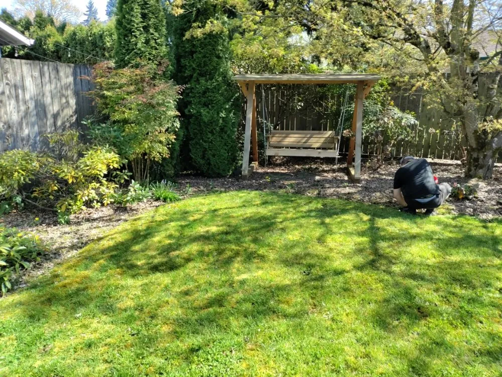 Expert landscaping services for outdoor upgrades in Springfield, OR by Jake & Brothers Landscape Maintenance