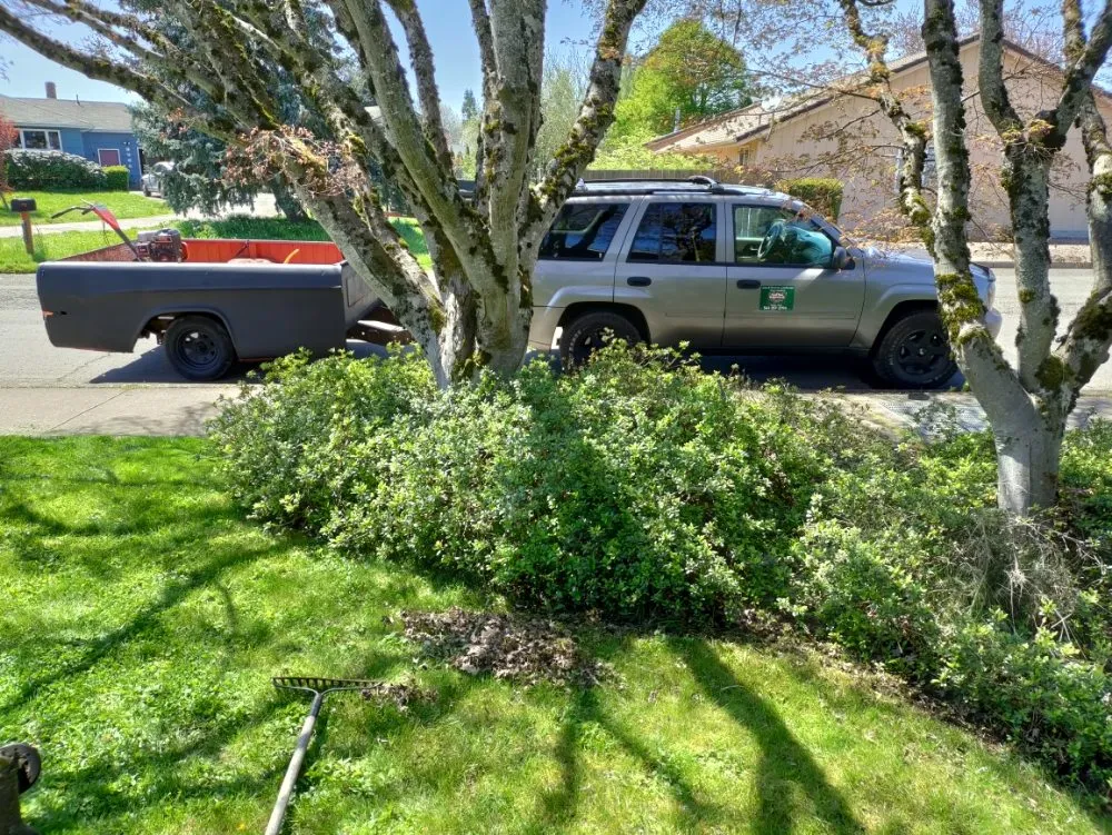 Reliable outdoor landscaping for residential properties across Springfield, OR - Jake & Brothers Landscape Maintenance