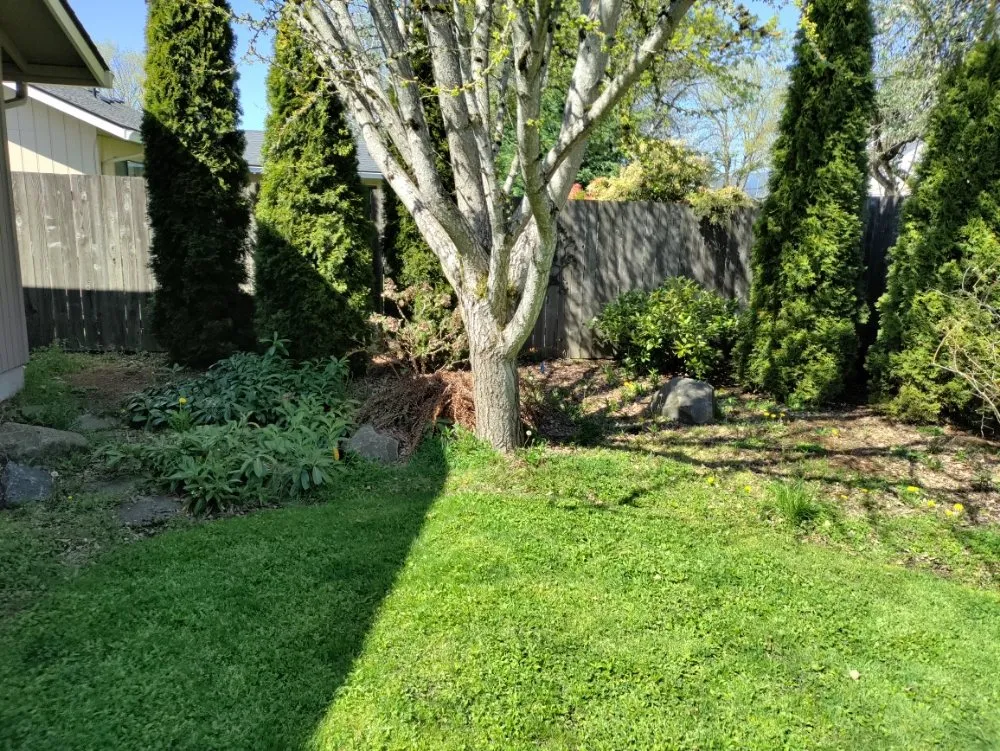Expert landscaping services in Springfield, OR - Jake & Brothers Landscape Maintenance