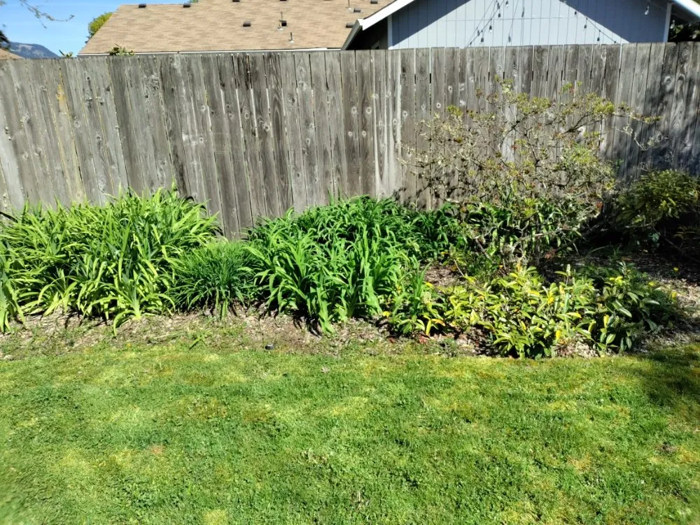 Local outdoor landscaping for beautiful yards in Springfield, OR by Jake & Brothers Landscape Maintenance