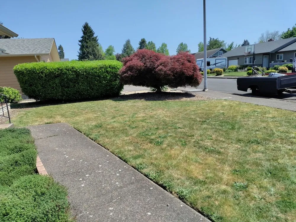 Professional yard maintenance for outdoor upgrades in Springfield, OR by Jake & Brothers Landscape Maintenance