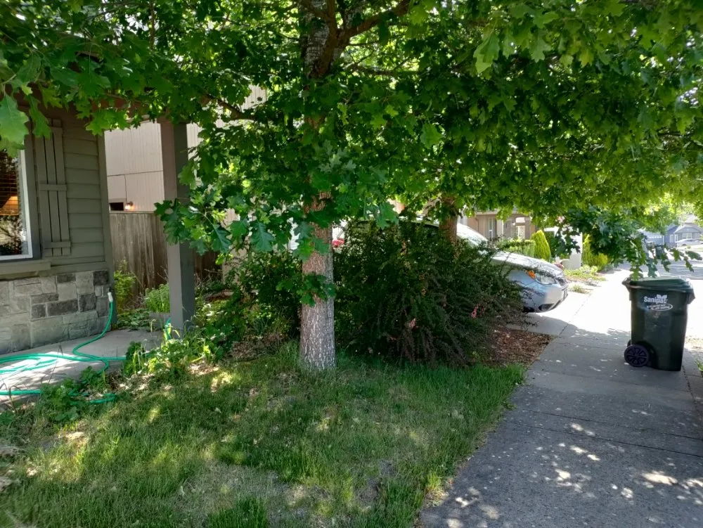 Custom landscape installation in Springfield, OR - Jake & Brothers Landscape Maintenance