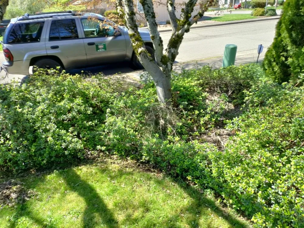 Custom outdoor landscaping experts serving Springfield, OR - Jake & Brothers Landscape Maintenance