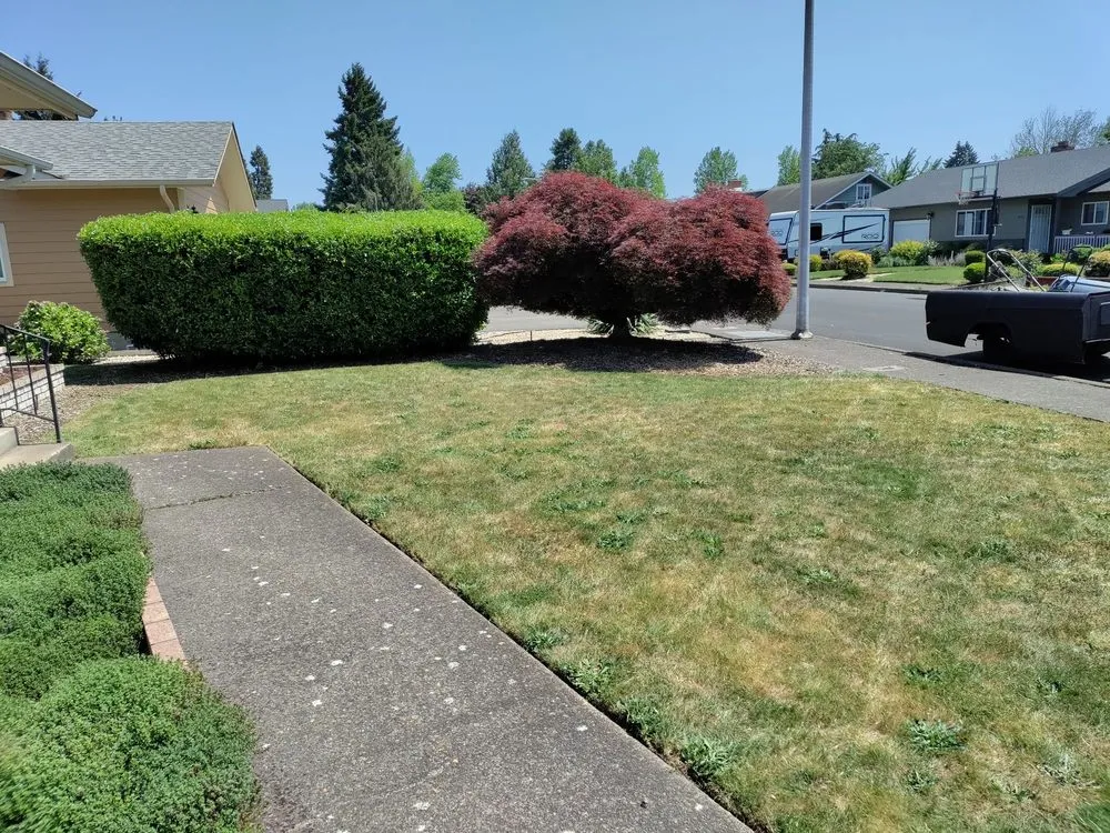 Local landscape design with custom design across Springfield, OR - Jake & Brothers Landscape Maintenance