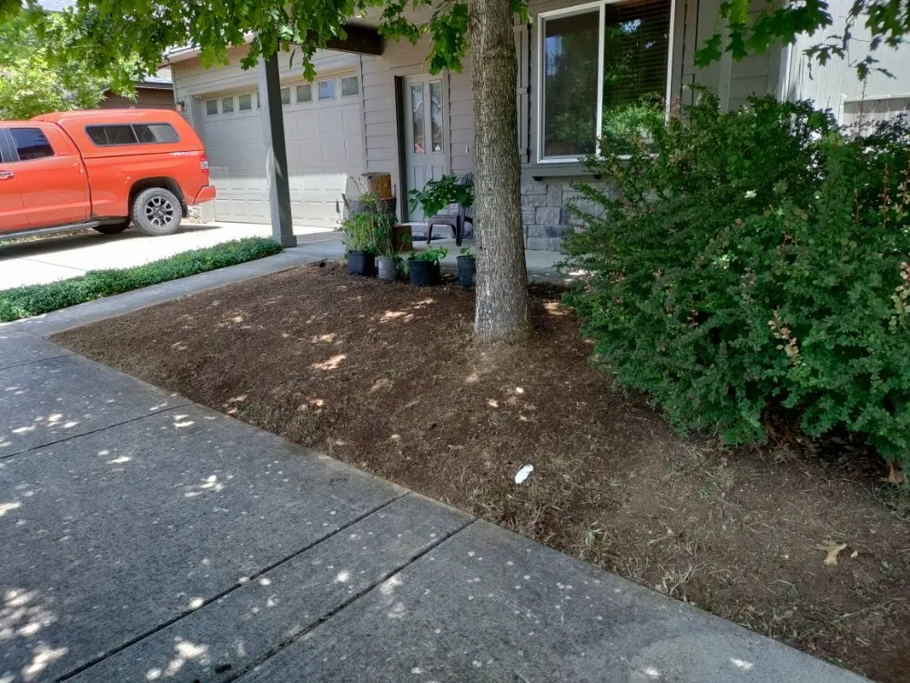 Top-rated garden landscaping experts serving Springfield, OR - Jake & Brothers Landscape Maintenance