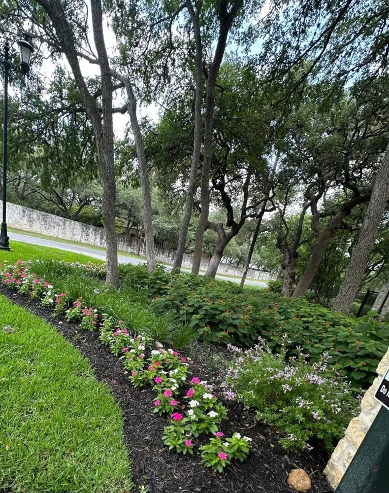 Trusted yard cleanup service experts serving San Antonio, TX - Jake 4 Landscape