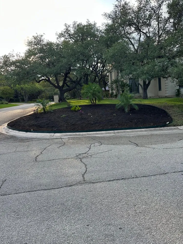 Custom yard maintenance experts serving San Antonio, TX - Jake 4 Landscape