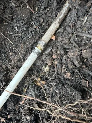 Jake 4 Landscape Logo