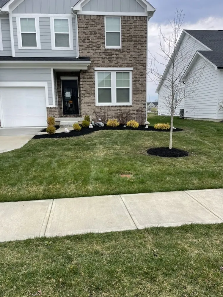 Affordable yard cleanup service for residential properties in Greenwood, IN by Jake Of All Trades