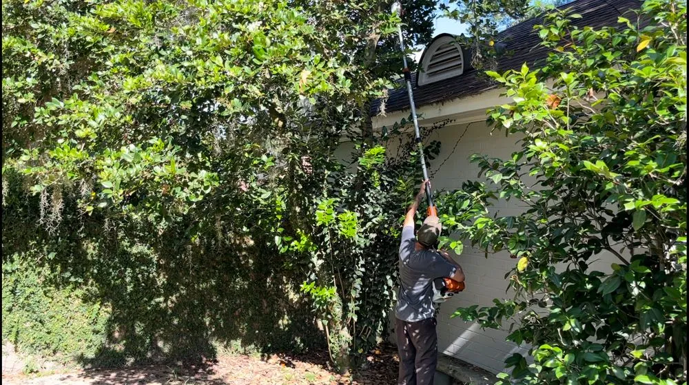 Expert residential landscaping for residential properties in Ocala, FL by Jake of All Trades