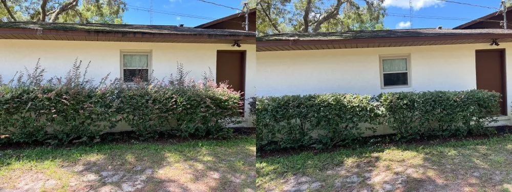 Local residential landscaping in Ocala, FL - Jake of All Trades