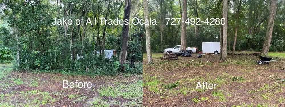 Expert yard cleanup service for year-round maintenance across Ocala, FL - Jake of All Trades
