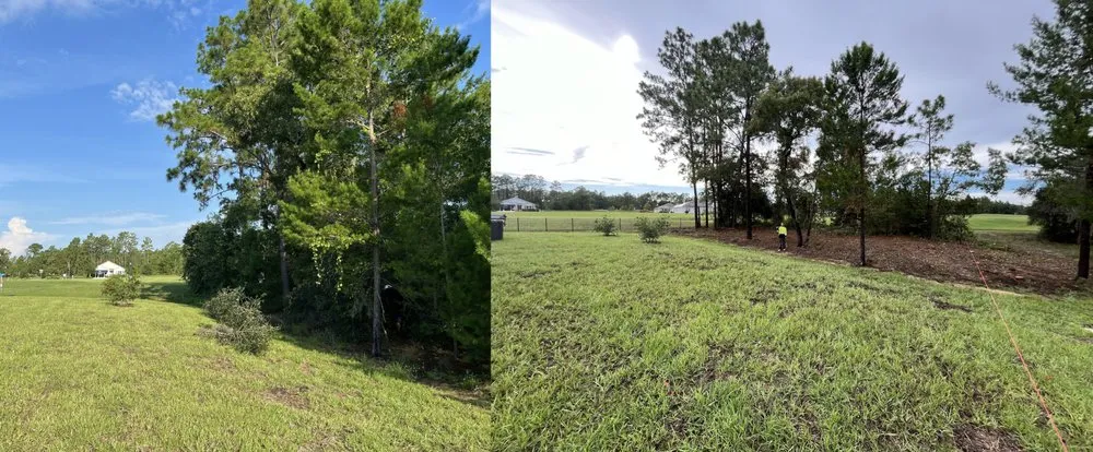 Expert landscaping services for outdoor upgrades across Ocala, FL - Jake of All Trades