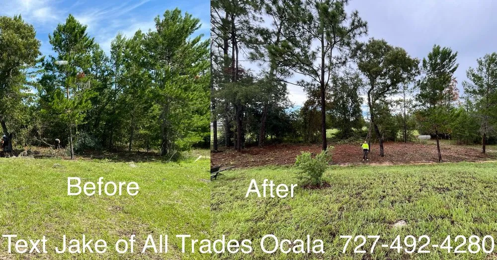 Affordable landscaping services for outdoor upgrades across Ocala, FL - Jake of All Trades