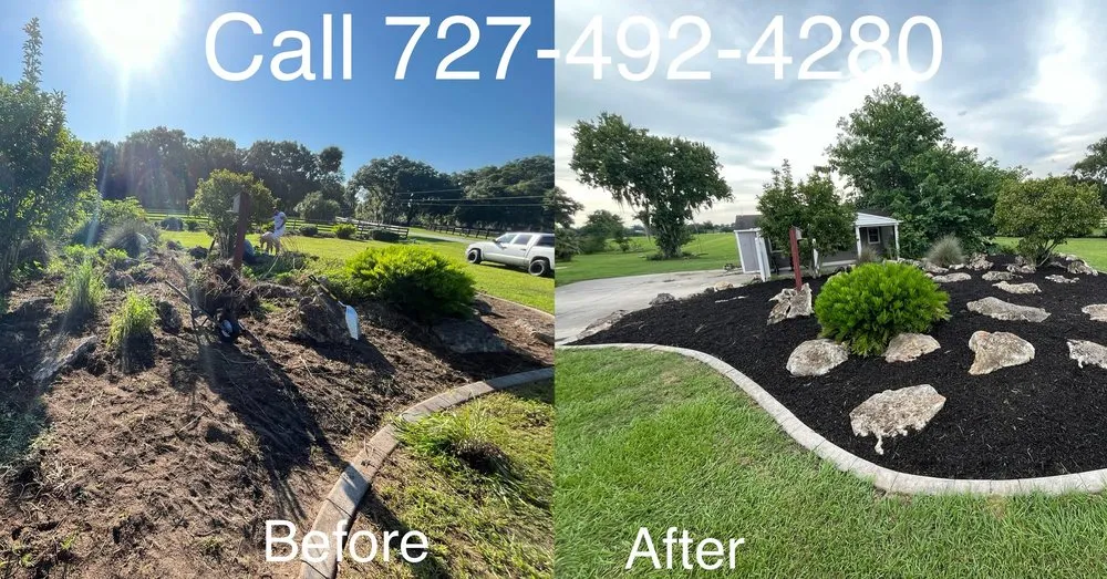 Expert yard cleanup service for year-round maintenance in Ocala, FL by Jake of All Trades