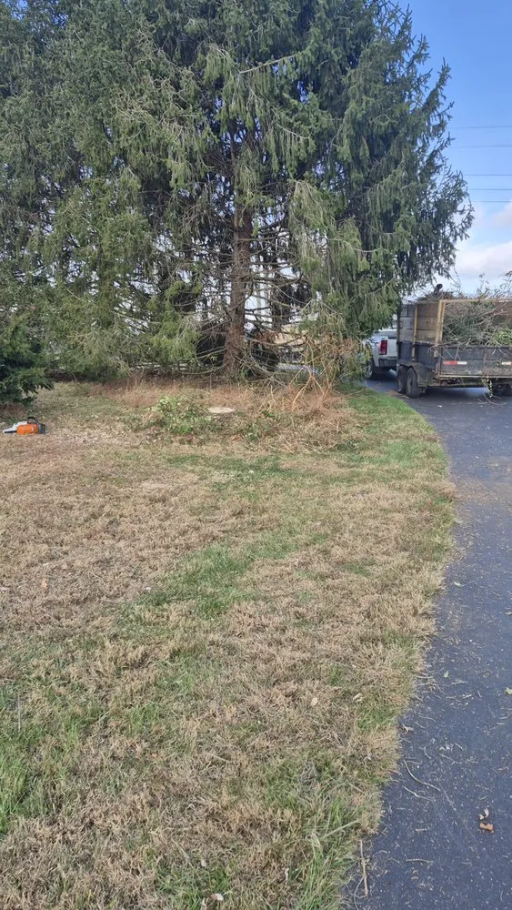 Custom residential landscaping in Hartsville, TN - Jake's Bush Hogging & Land Management