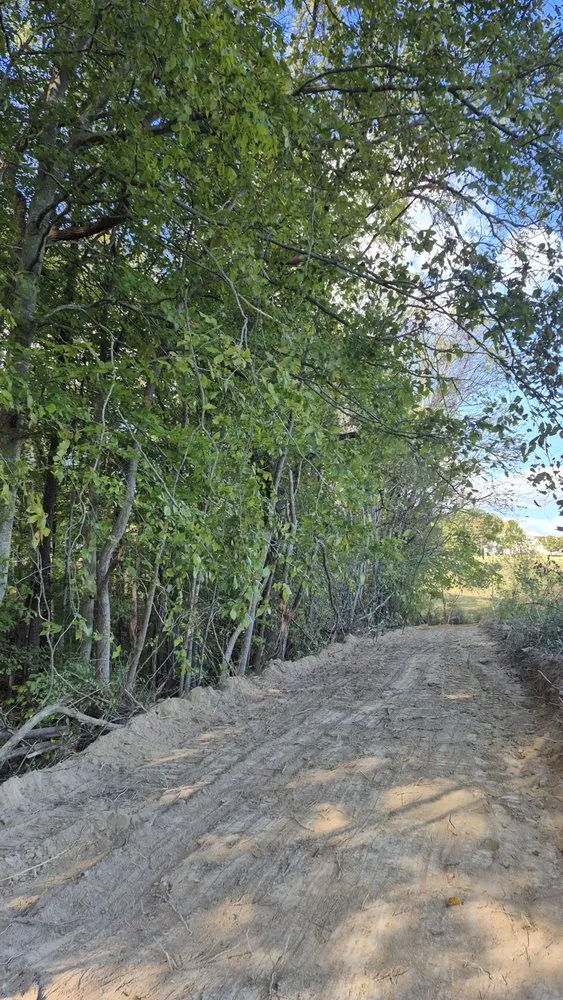 Affordable yard cleanup service in Hartsville, TN by Jake's Bush Hogging & Land Management