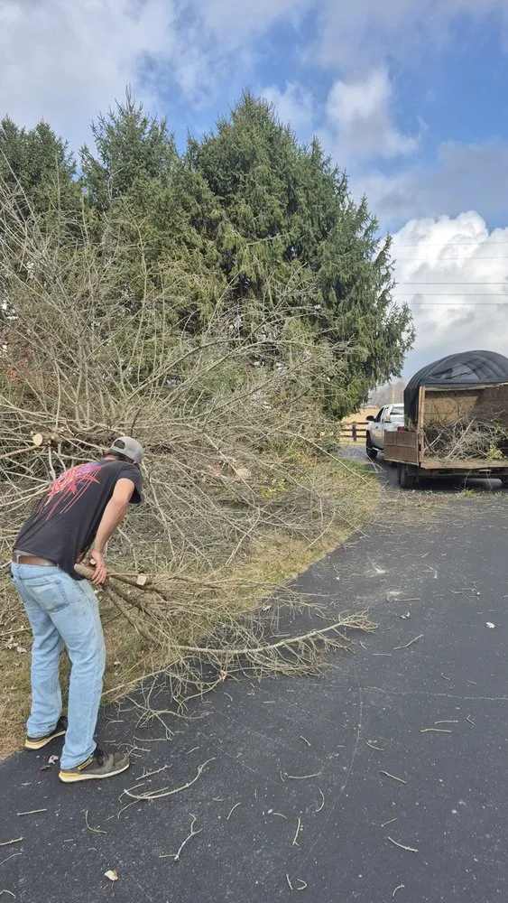 Top-rated lawn care service in Hartsville, TN - Jake's Bush Hogging & Land Management