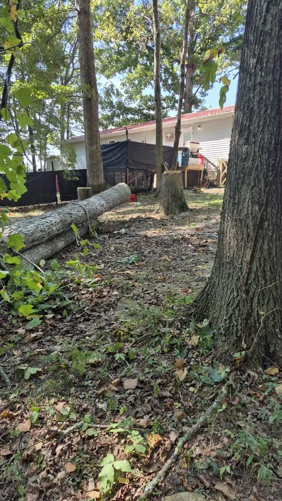 Top-rated residential landscaping for homes across Hartsville, TN - Jake's Bush Hogging & Land Management