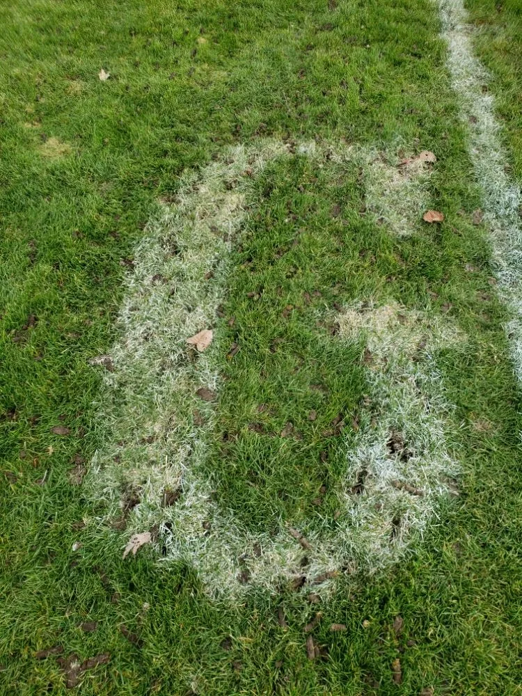 Custom yard cleanup service for residential properties in Manchester, MI by Jake's Curbside Appeal