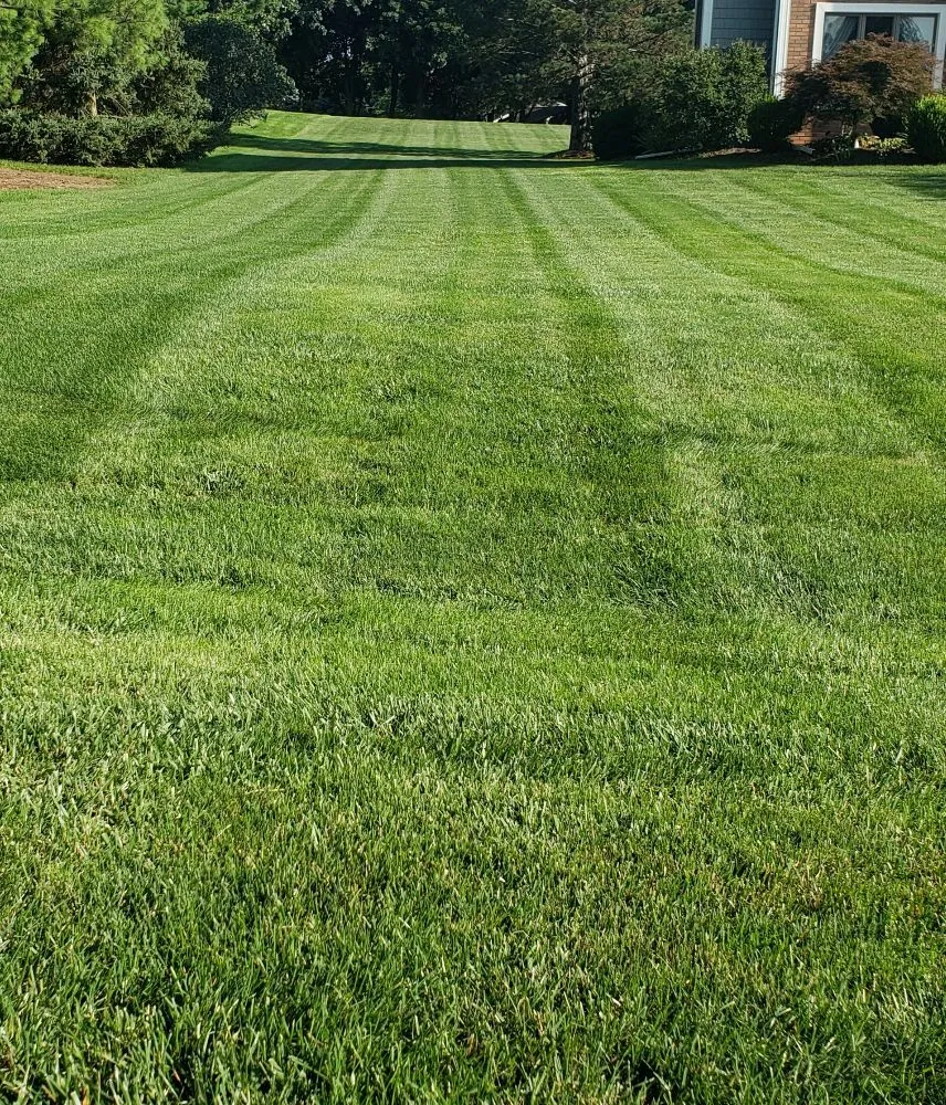 Affordable residential landscaping for outdoor upgrades across Manchester, MI - Jake's Curbside Appeal