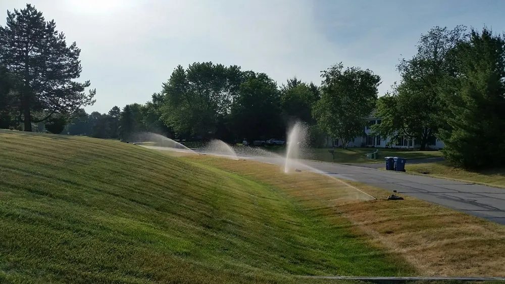 Professional yard cleanup service for beautiful yards in Manchester, MI by Jake's Curbside Appeal