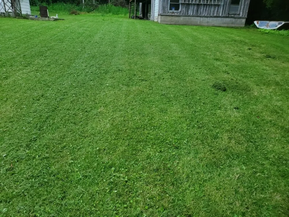 Reliable residential landscaping experts serving Brasstown, NC - Jake's Handyman Services