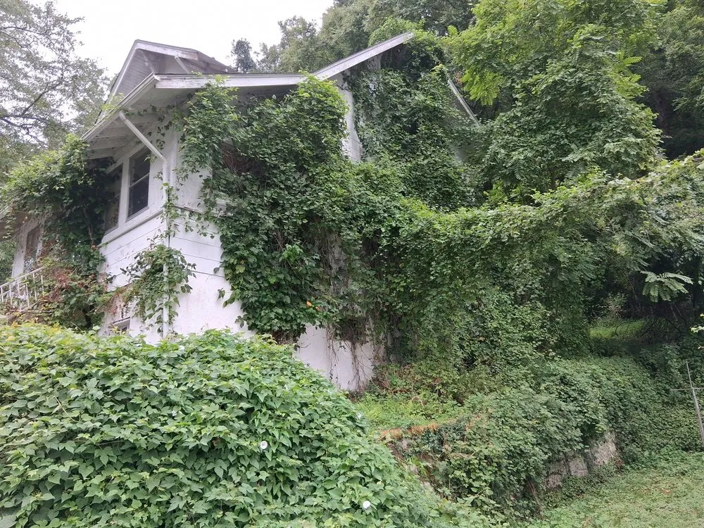 Reliable lawn mowing service in Charleston, WV by Jake’s Home Services